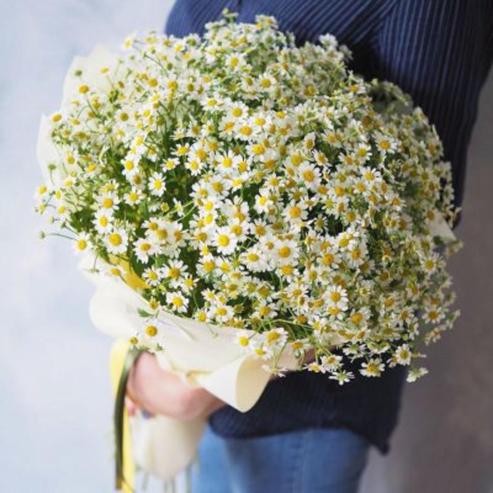 Букет из 19 матрикарий 